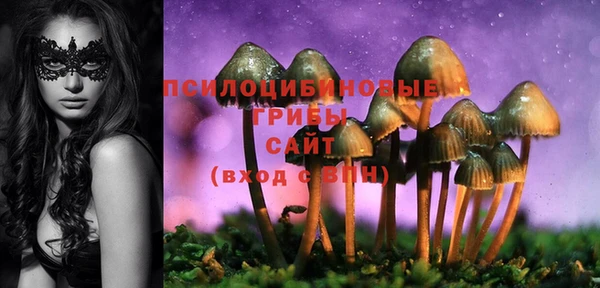 дживик Абаза